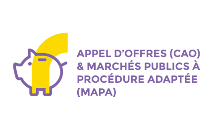 Commission Appel d’Offres (CAO) et Commission Marchés Publics à procédure adaptée (MAPA)